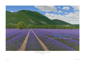 La Chaleur et Le Coeur de La Provence - Lavender Painting
