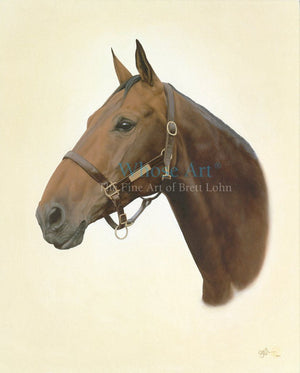 Bay horse art portrait on a greeting card showing the head of a handsome bay warmblood, wearing a head collar