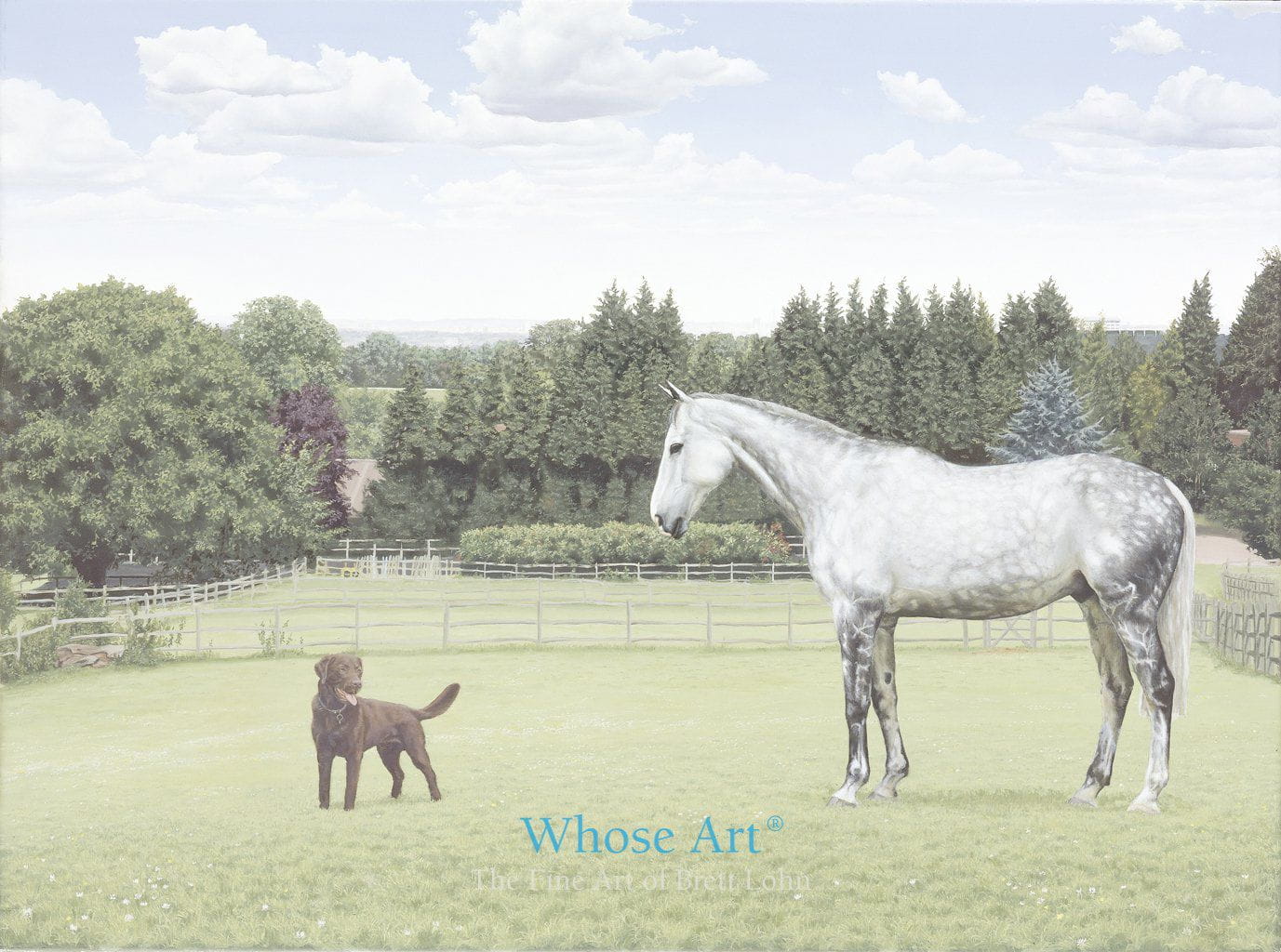 Equestrian Greeting Card featuring a painting of a grey horse and chocolate labrador in a field looking at each other.