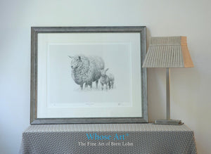 Framed fine art print of a sheep & a lamb together. The picture is framed silver & shows a black & white drawing of the sheep
