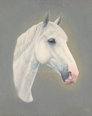 Grey horse art portrait of the head of a handsome grey horse in oil on canvas. The horse has a pink nose.