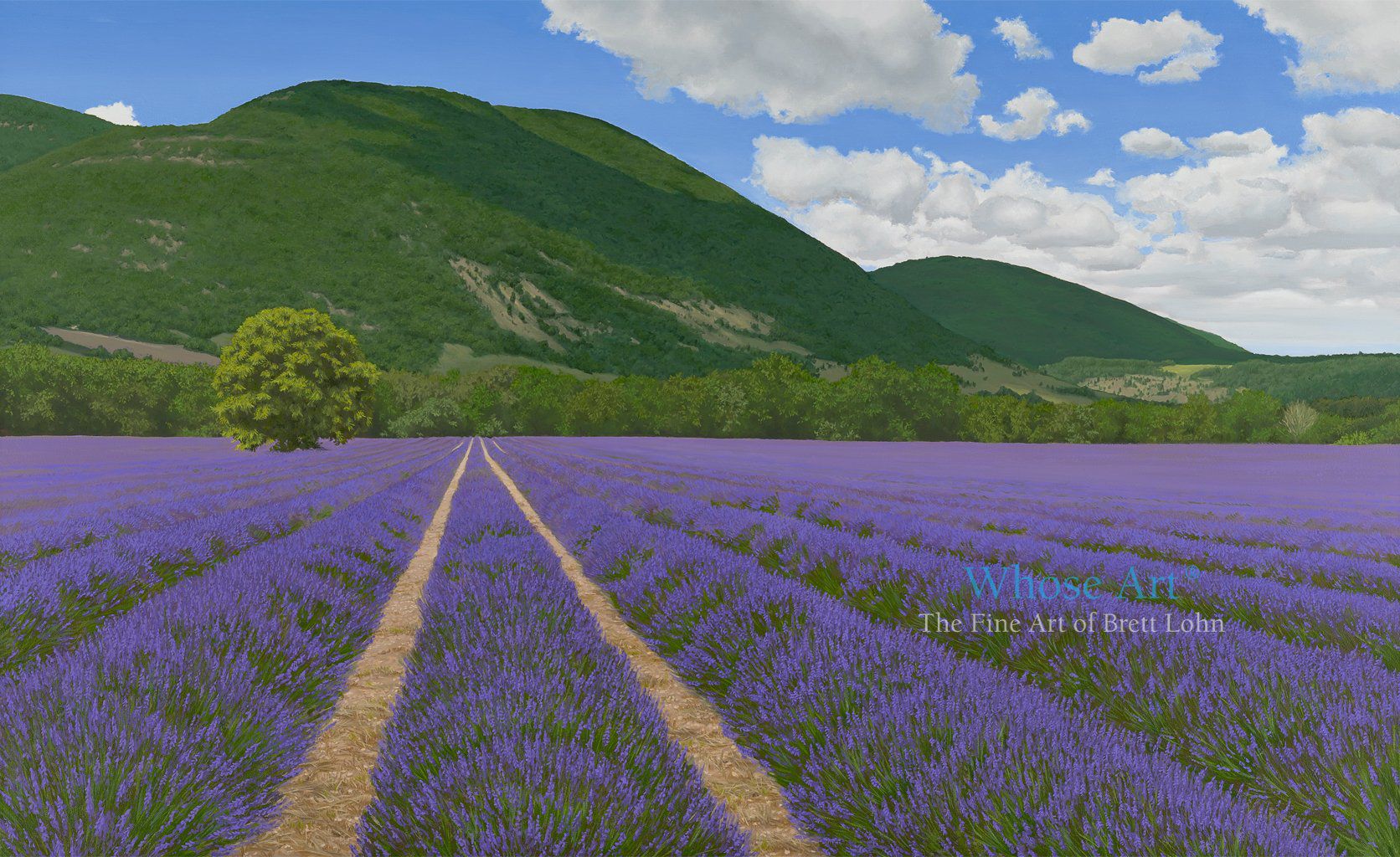 Lavender art greeting card of an oil painting of lavender fields in Provence with lavender in rows beneath the blue sky