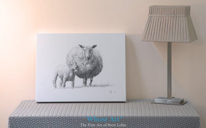 Sheep painting canvas print of a pencil drawing of a lamb with a sheep. This fine art canvas is unframed & sits on a table