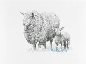 A sheep wall art drawing in pencil showing a lamb and sheep together in black and white.